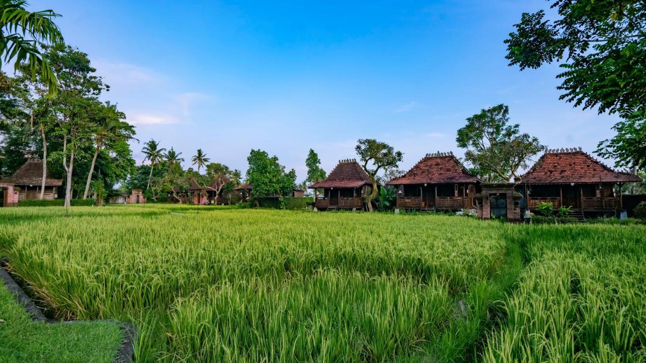 Kajane Yangloni At Ubud  Exterior photo
